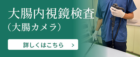 大腸内視鏡検査(大腸カメラ)